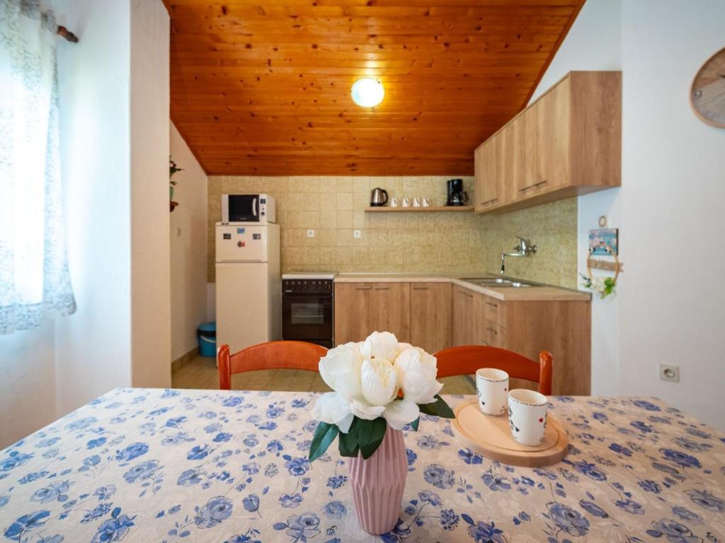 Apartment Matkos - With Garden And Terrace Nin Kültér fotó